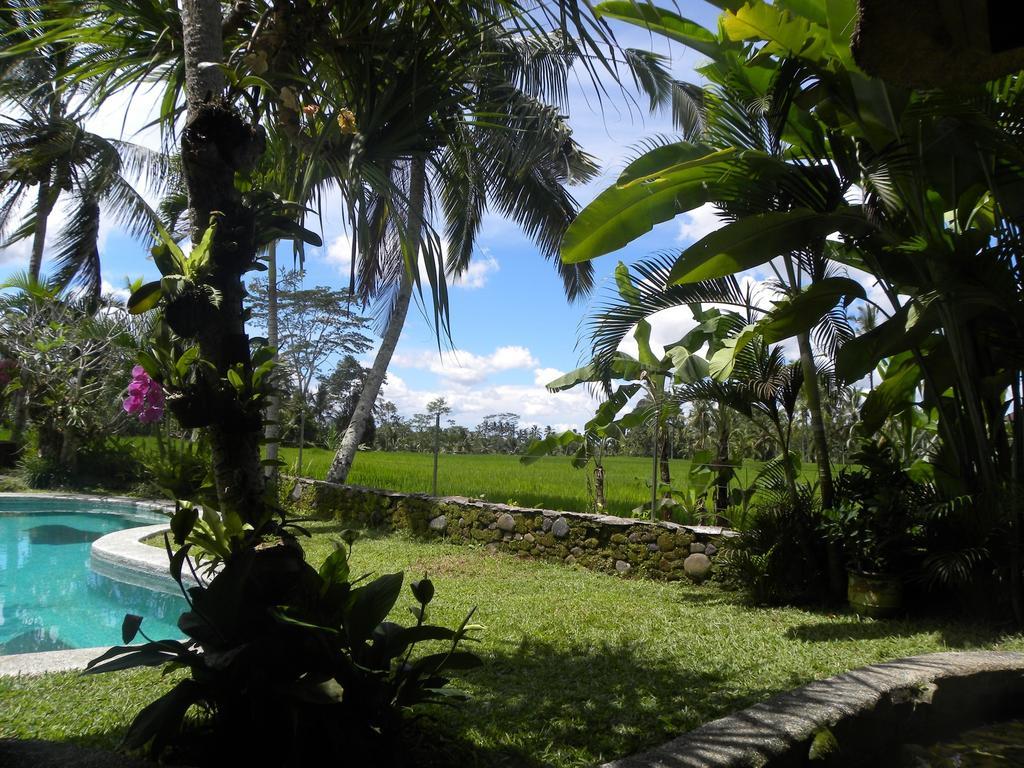 Saudara Home Ubud 外观 照片