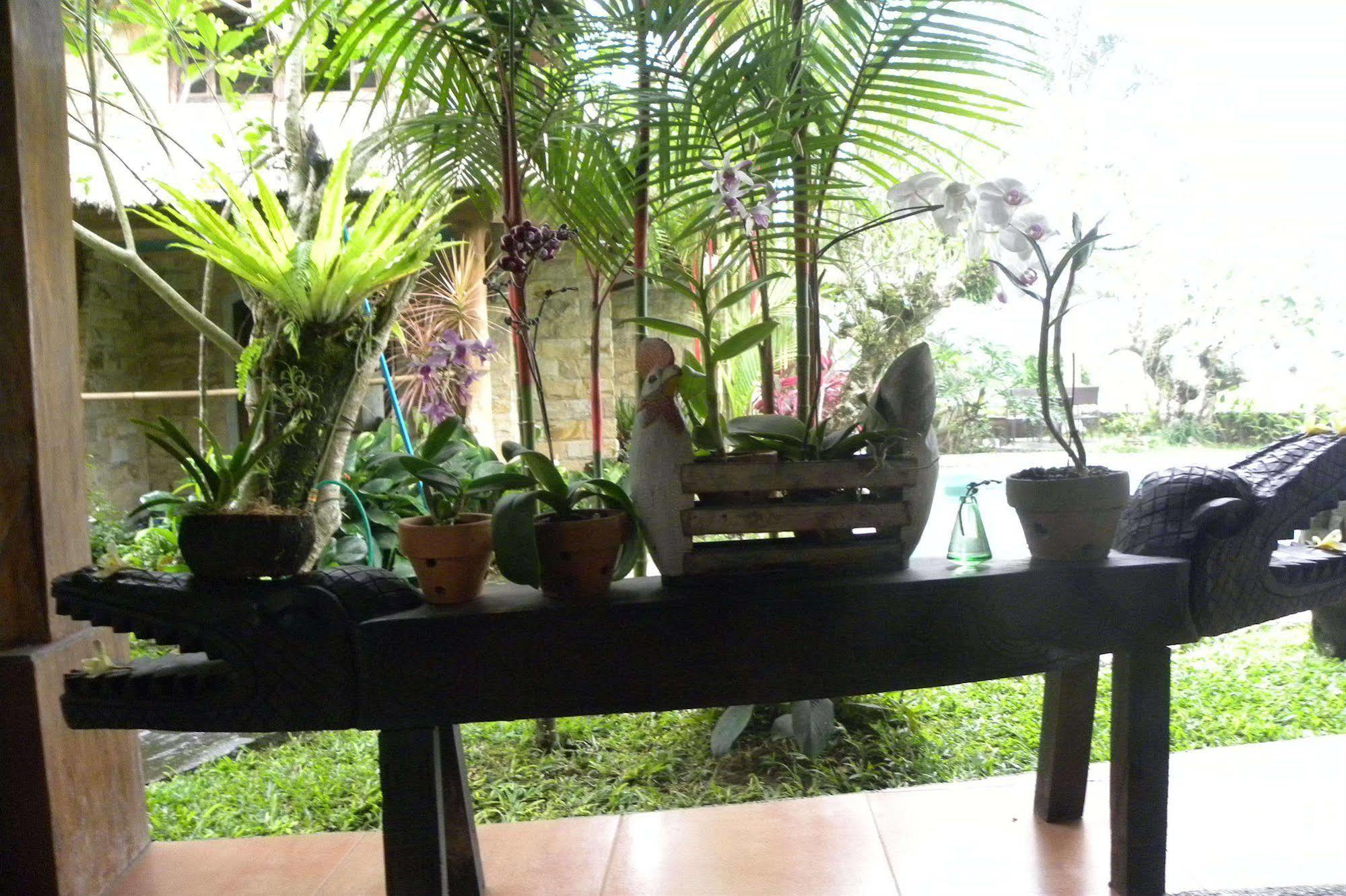 Saudara Home Ubud 外观 照片