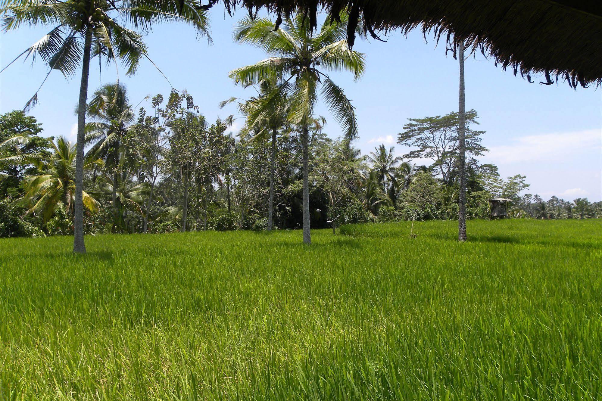 Saudara Home Ubud 外观 照片