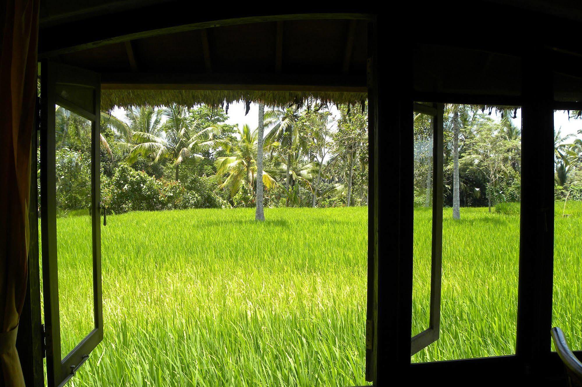 Saudara Home Ubud 外观 照片