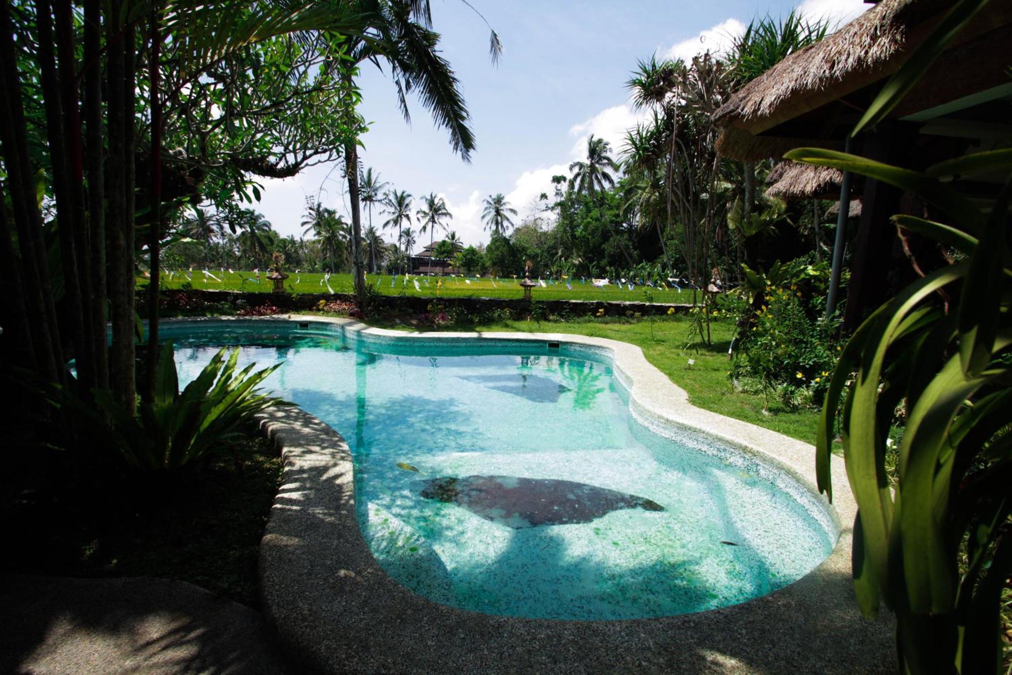 Saudara Home Ubud 外观 照片